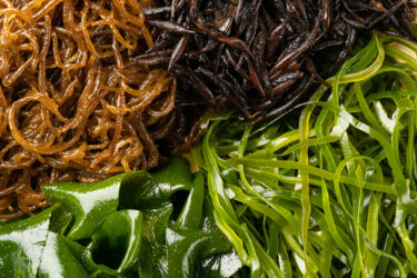 海藻類で運気をアップ！海のエネルギーを取り入れて開運しよう！