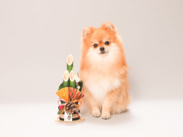 運気をあげる年末年始の過ごし方は？開運方法５つを紹介！