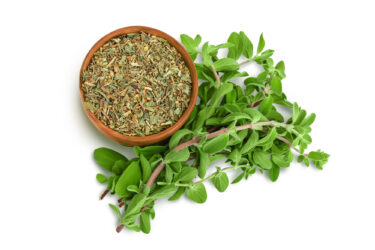 ハーブとしても人気なオレガノとは？香辛料の使い方