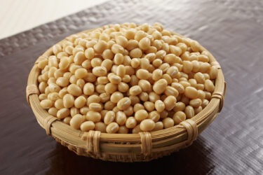 上品で希少な白小豆の魅力とは