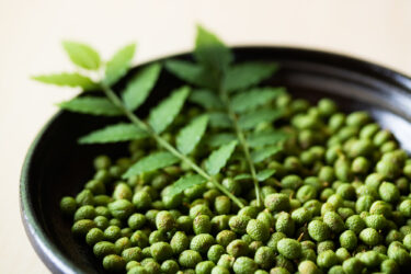 香り高き和のスパイス、山椒の魅力と楽しみ方