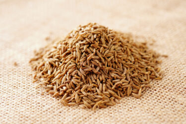 クミンとはどんなスパイス？古代から受け継がれる香りと、料理がもっと楽しくなる活用術